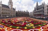 В Брюсселе для туристов развернут цветочный ковер