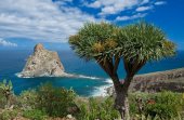 Характеристика острова Тенерифе