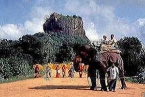 Советы начинающему путешественнику по Шри-Ланке